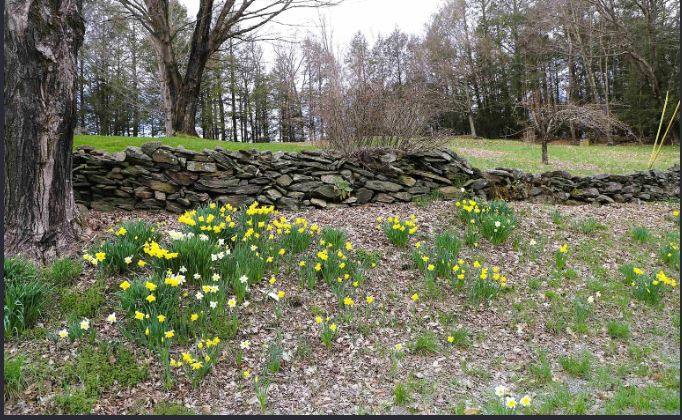 298 Sweet Pond Rd - Photo 4 of 16