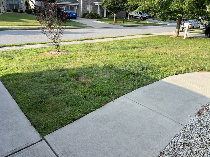 1556 Rolling View Way - Photo 5 of 24