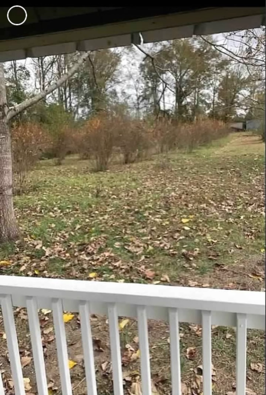 26340 Hwy #TINY - Photo 5 of 10