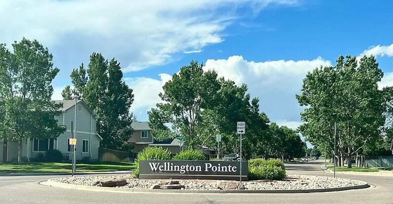 8502 Secretariat Dr - Photo 4 of 30