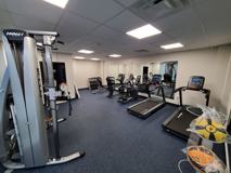 FLORA - Photo 1 of 1