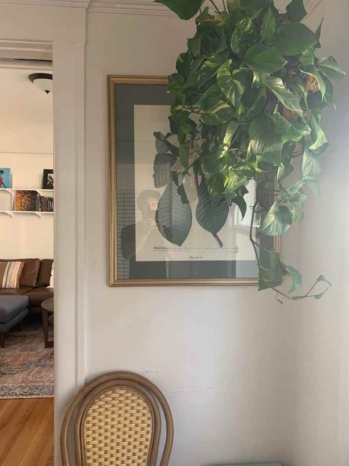 Lexington - Photo 2 of 13