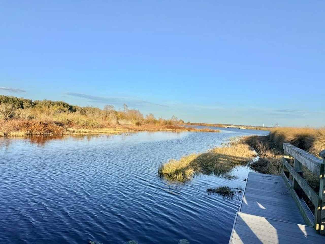 509 Blue Cypress Dr - Photo 4 of 24