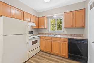Brookview Apartments | Spacious Floor Plans & Scenic Views - Photo 1 of 1