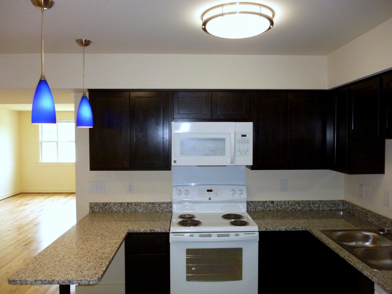 1029 Wertland Street - Photo 5 of 15