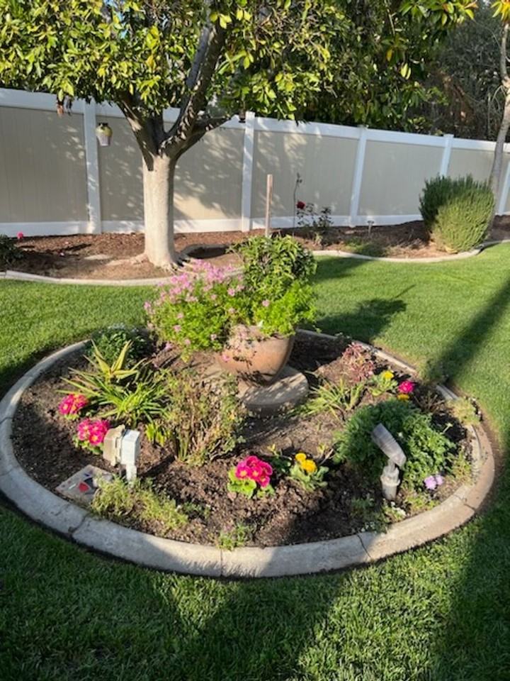 1163 Via Vista Dr - Photo 5 of 50