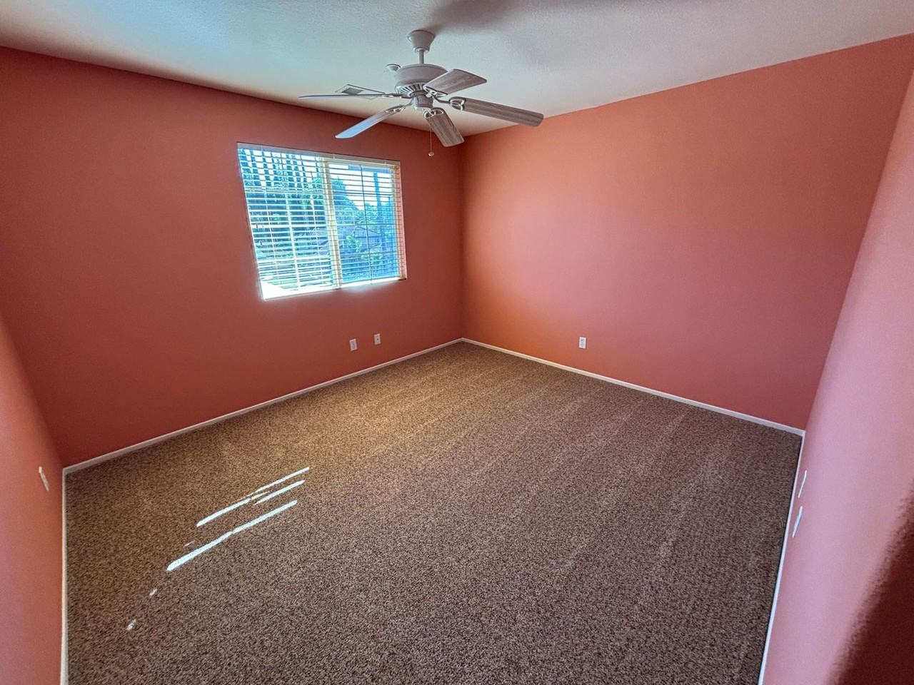 1163 Via Vista Dr - Photo 6 of 50