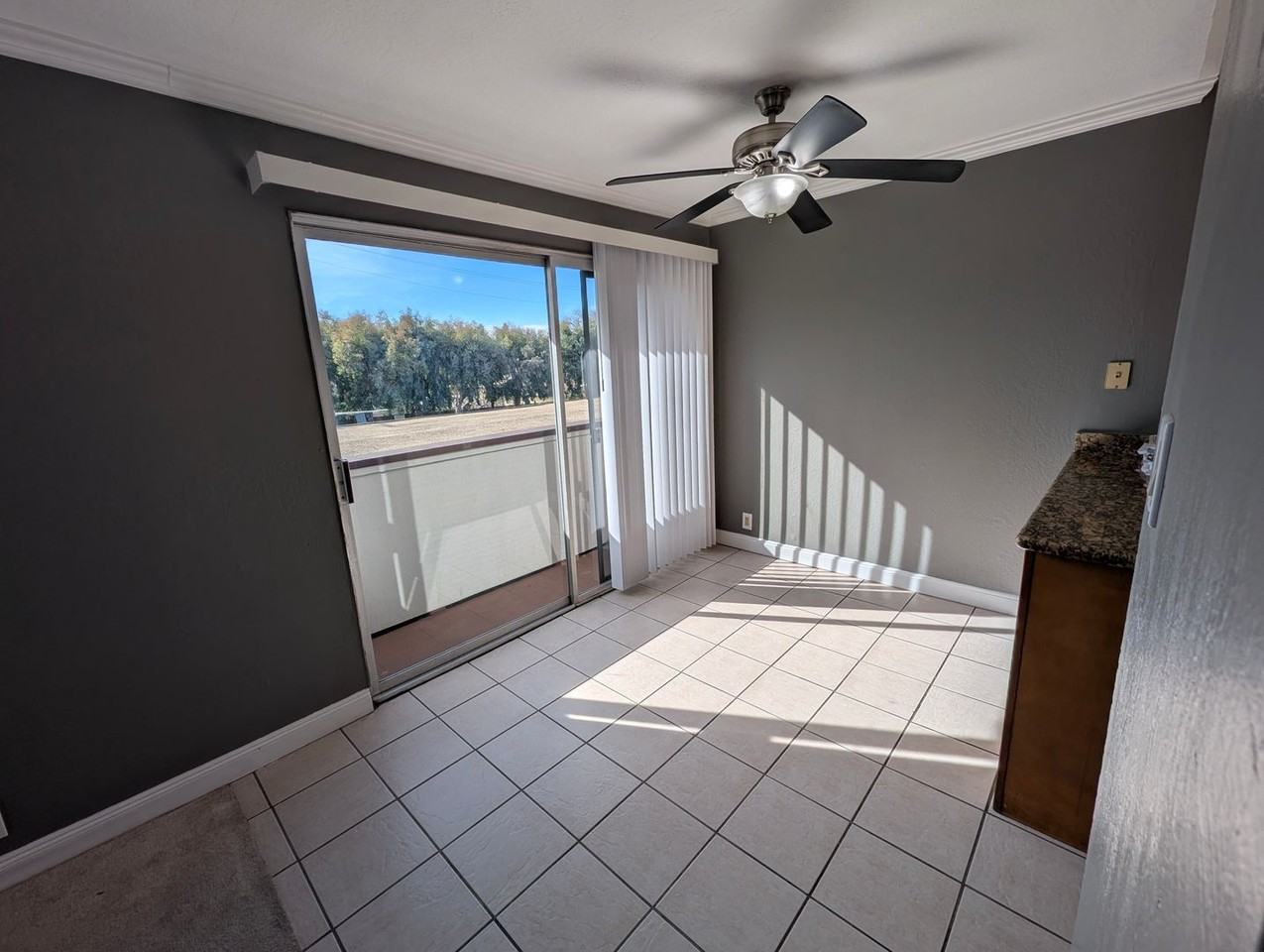 1699 Laguna St - Photo 2 of 14