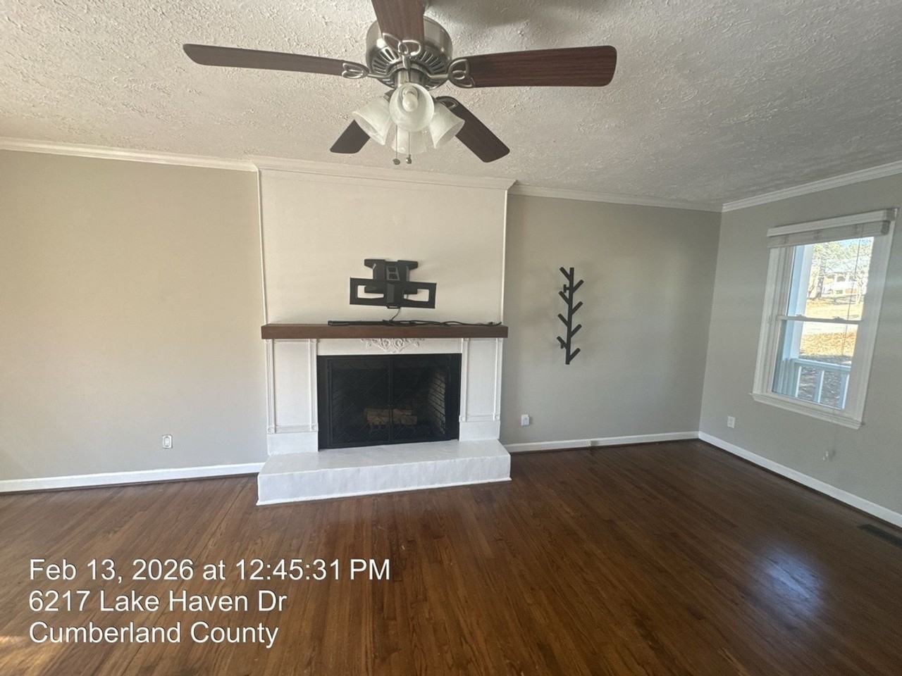 6217 Lakehaven Dr - Photo 5 of 14