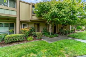 featured image of 3158 Phoenix Ln