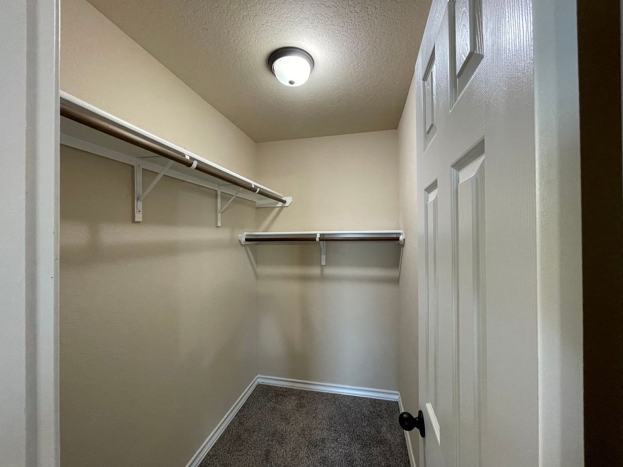 16816 16816 Dancing Ava - 3 #3 - Photo 7 of 13