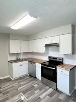 Semken - 2524 - Photo 1 of 1