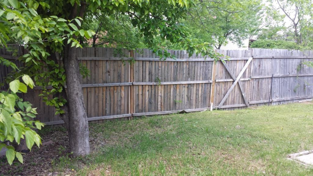 521 Caravaca Dr - Photo 6 of 8