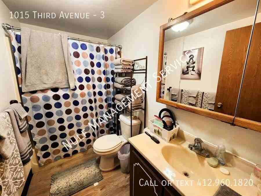 1015 3rd Ave #3 - Photo 5 of 7