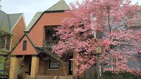 Fabulous 2BR Apartment on Arthur Ashe Blvd! - Photo 1 of 1