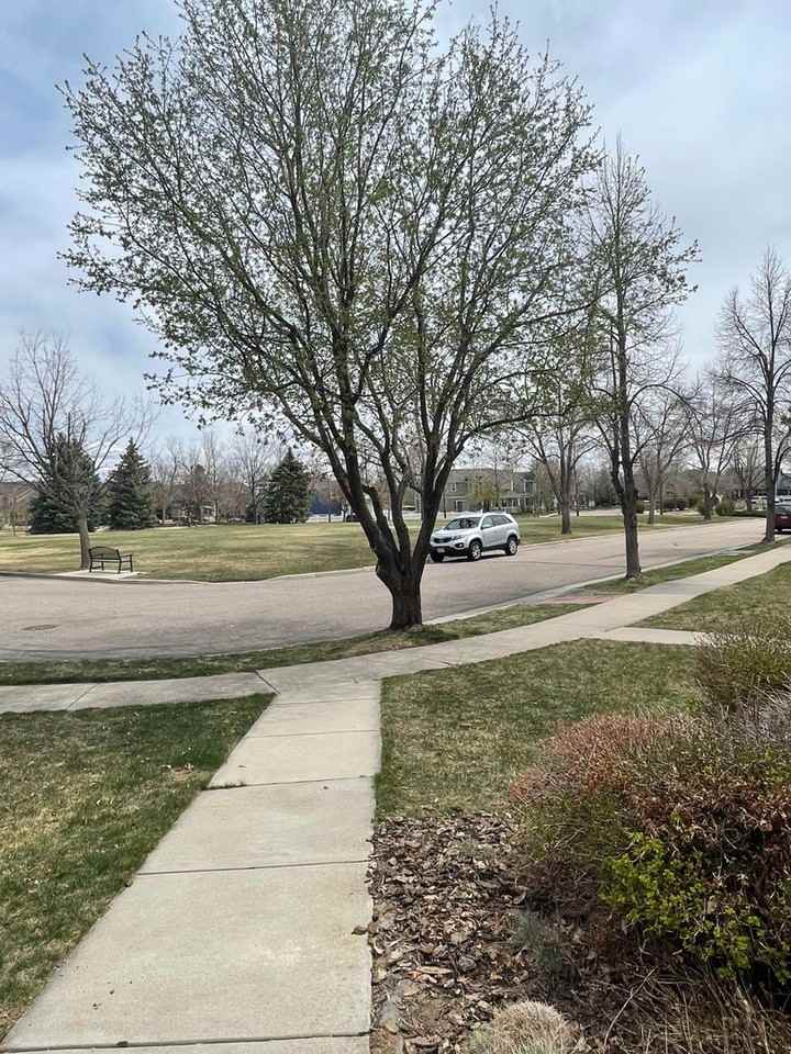 2944 Cornerstone Ln - Photo 2 of 35