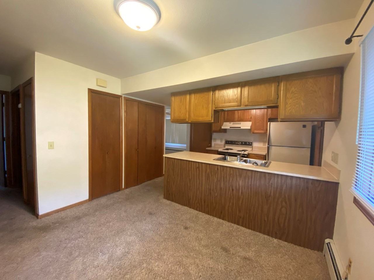 4560 Larkbunting Dr Apt 1a - Photo 4 of 15