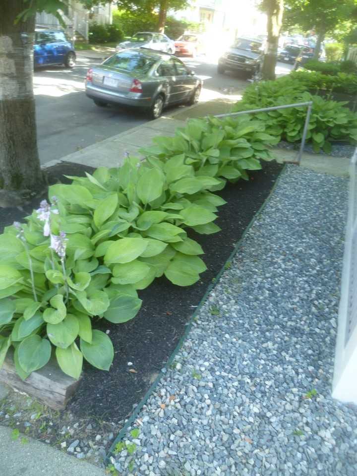 66 Hobart St - Photo 7 of 24