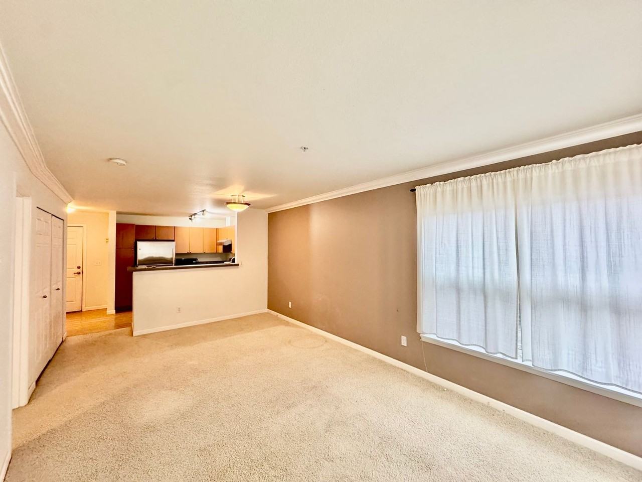 621 5th Ave N #205 - Photo 5 of 18