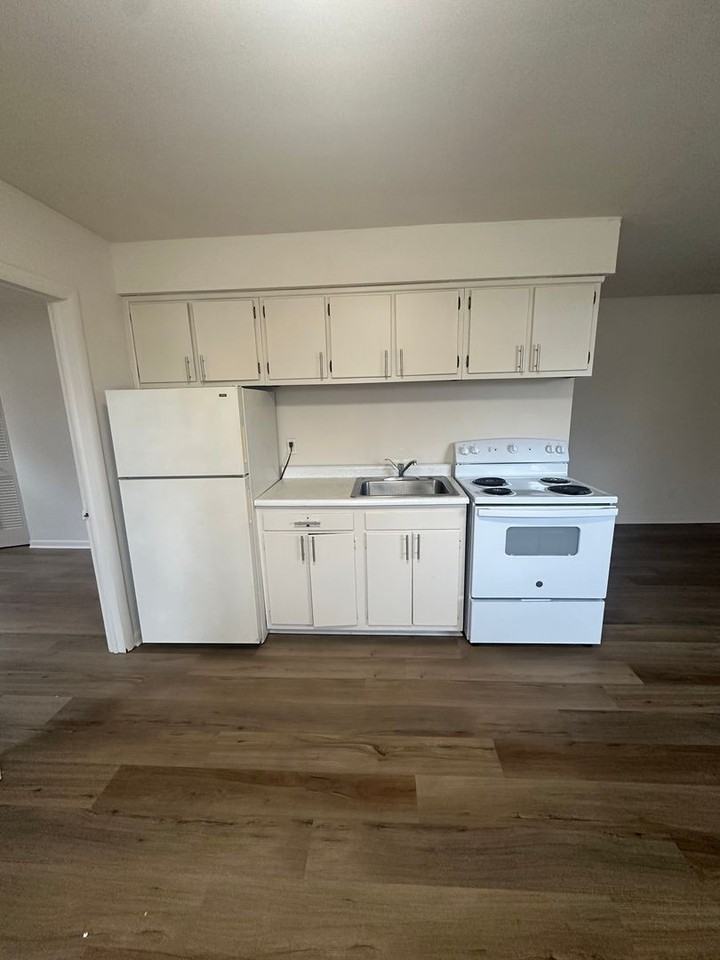 215 Felton Ave - Photo 4 of 9