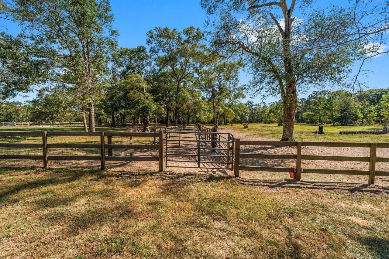 2118 Pine Rd - Photo 2 of 40