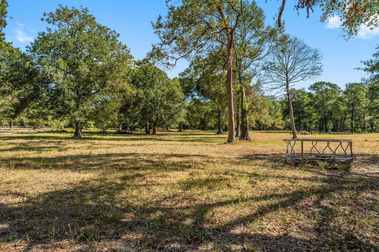 2118 Pine Rd - Photo 3 of 40