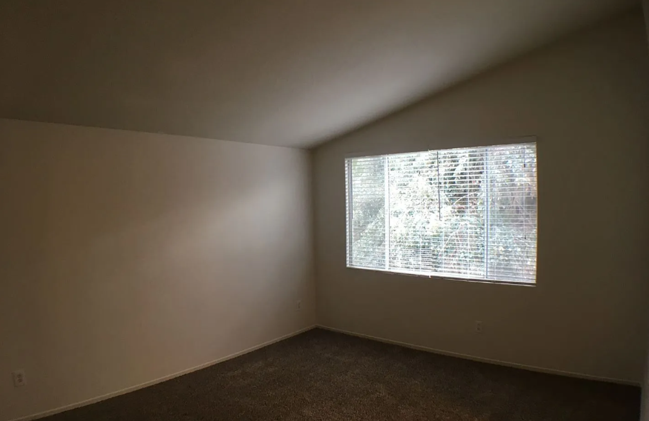 33289 Calle Langarica - Photo 6 of 17