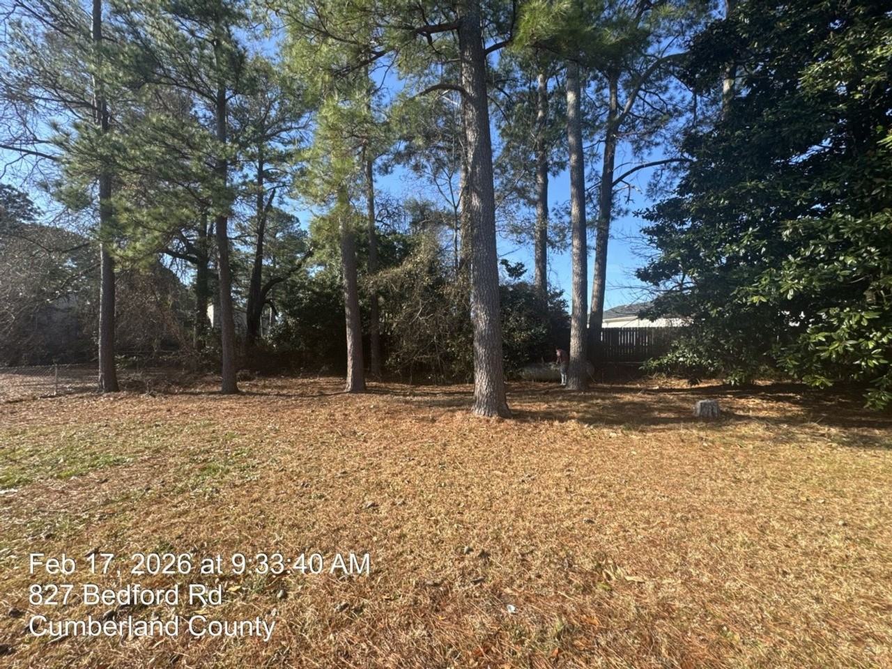 825 Bedford Rd - Photo 3 of 16