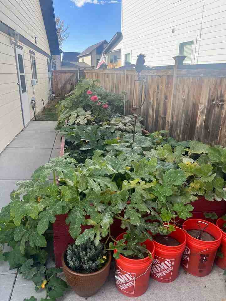 1766 Buckrake Ave - Photo 5 of 11