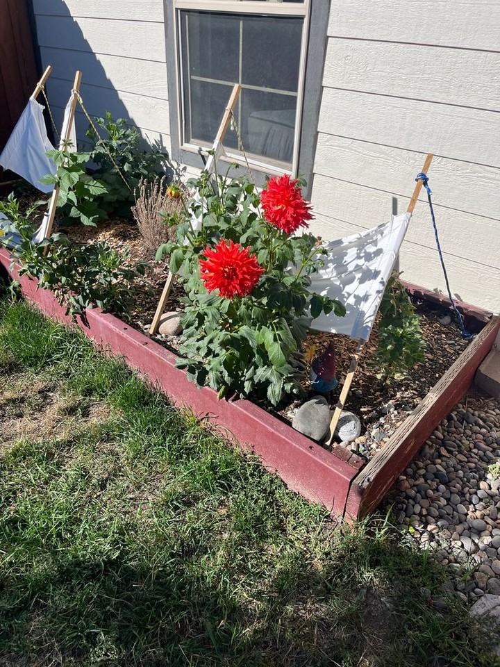 1766 Buckrake Ave - Photo 7 of 11