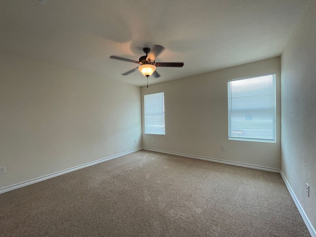 16843 16843 Dancing Ava - 2 #2 - Photo 5 of 10