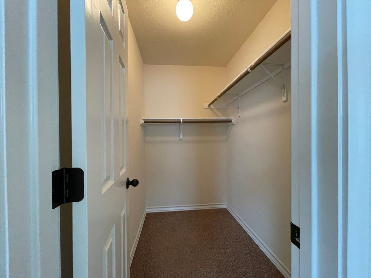 16843 16843 Dancing Ava - 2 #2 - Photo 6 of 10