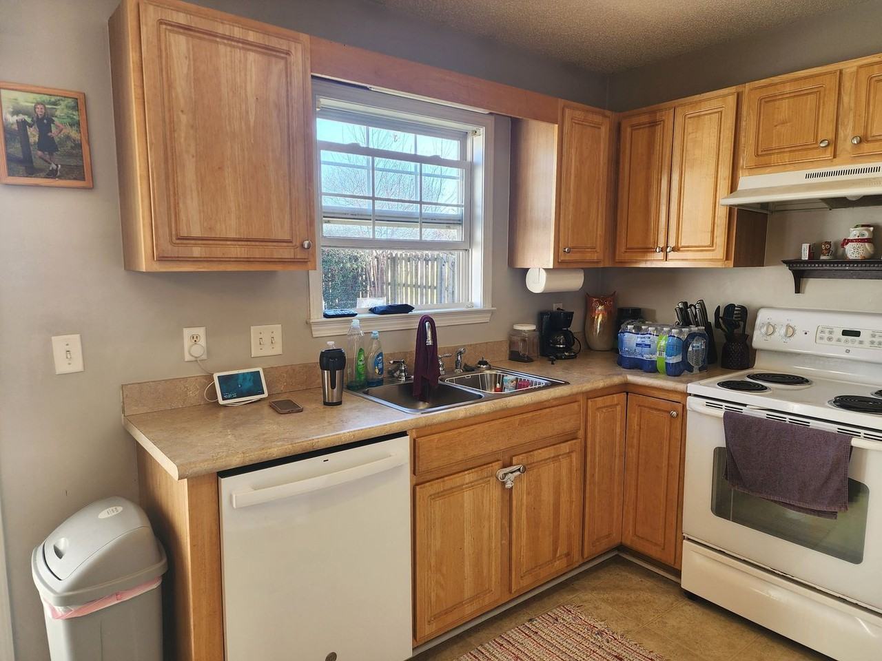 7505 Brittany Lakes Dr - Photo 7 of 21