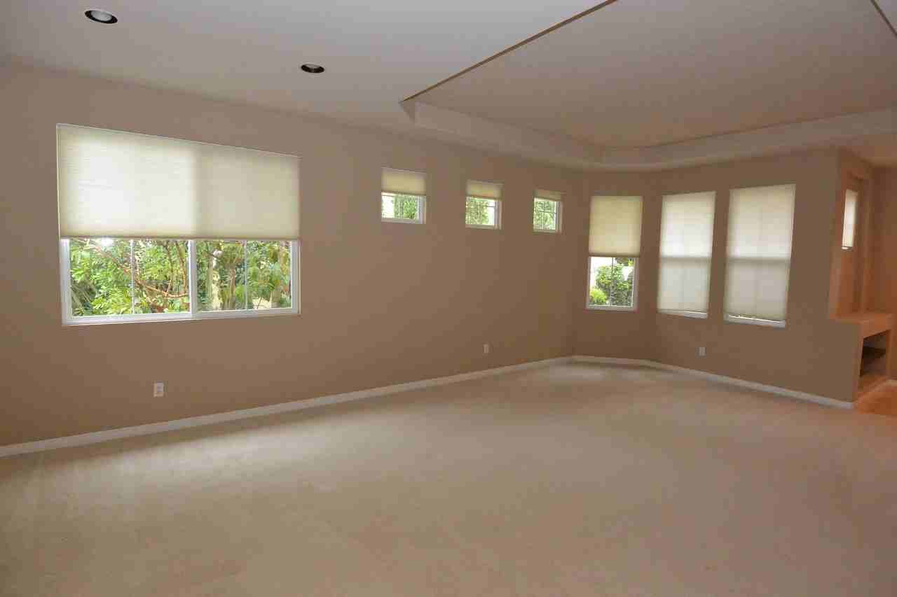 50 Tidal Surf - Photo 6 of 33