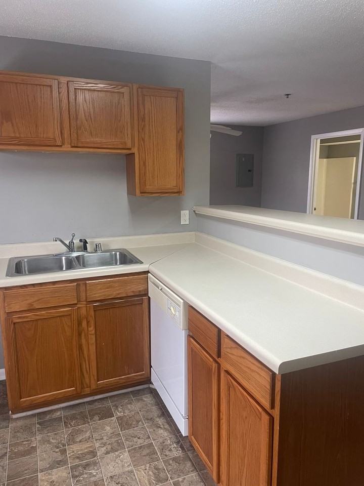 River Tanmer Apartments - Photo 6 of 22