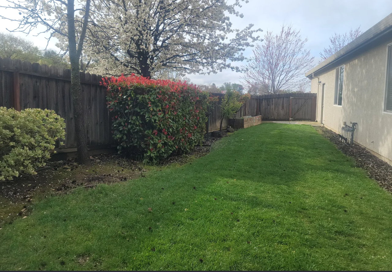 11000 Caballo Cir - Photo 5 of 5