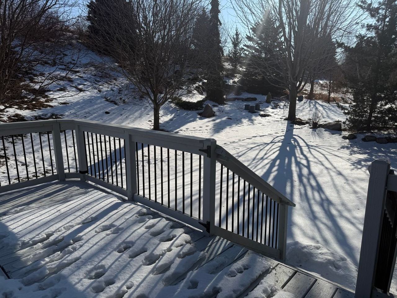 15678 Duck Pond Way - Photo 3 of 22