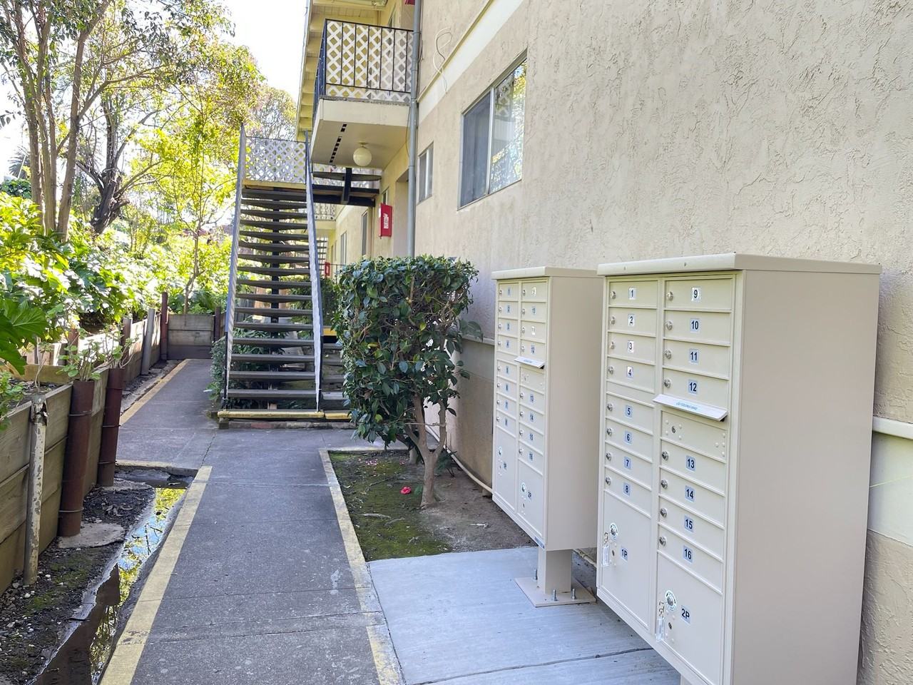 Limited - Photo 3 of 11