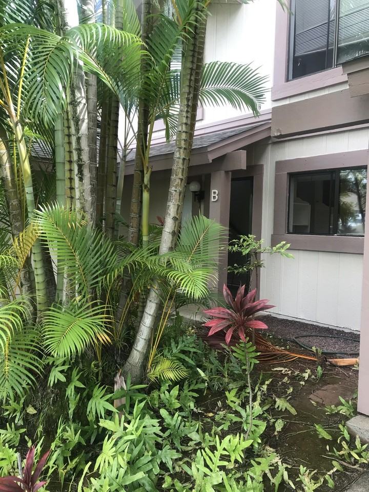 98-1710 Kaahumanu St - Photo 6 of 9