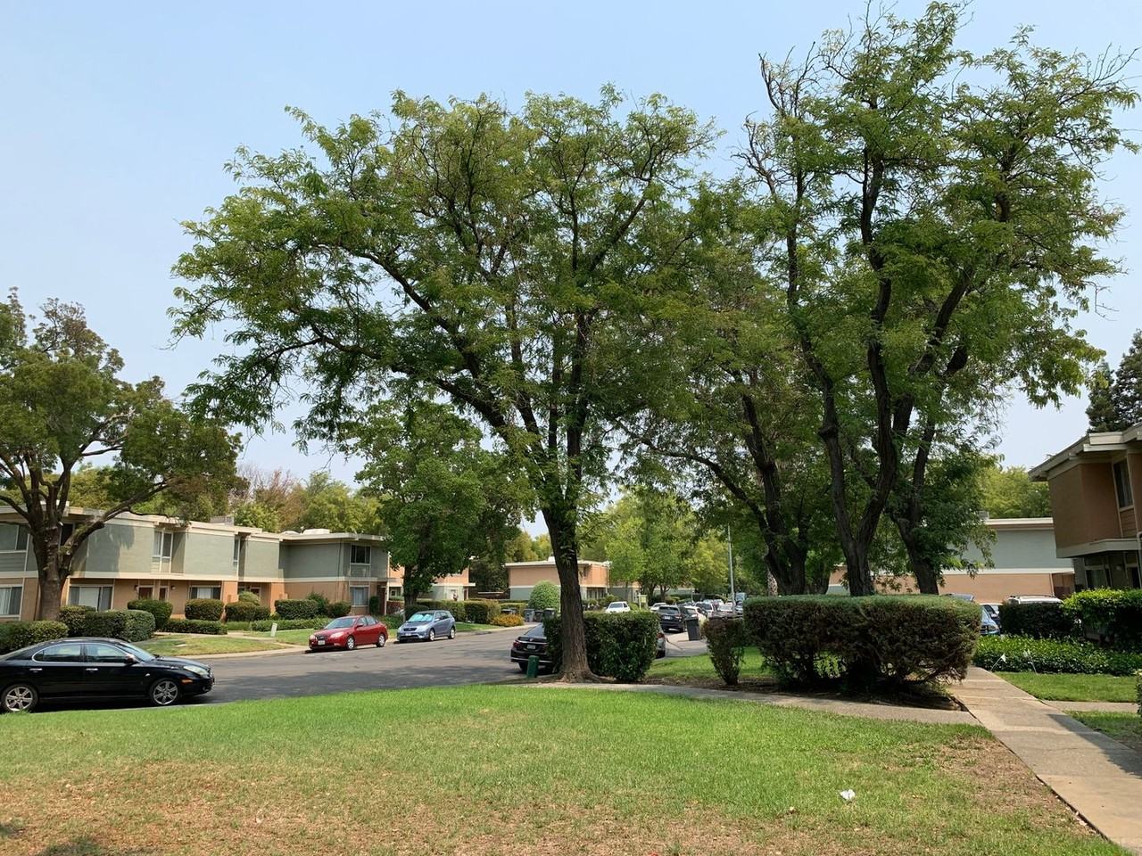 1536 Drake Dr - Photo 5 of 11