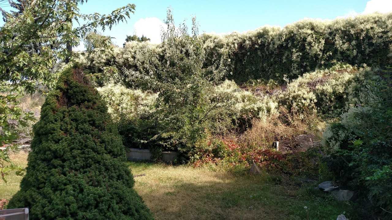 1111 S Baker St - Photo 2 of 18