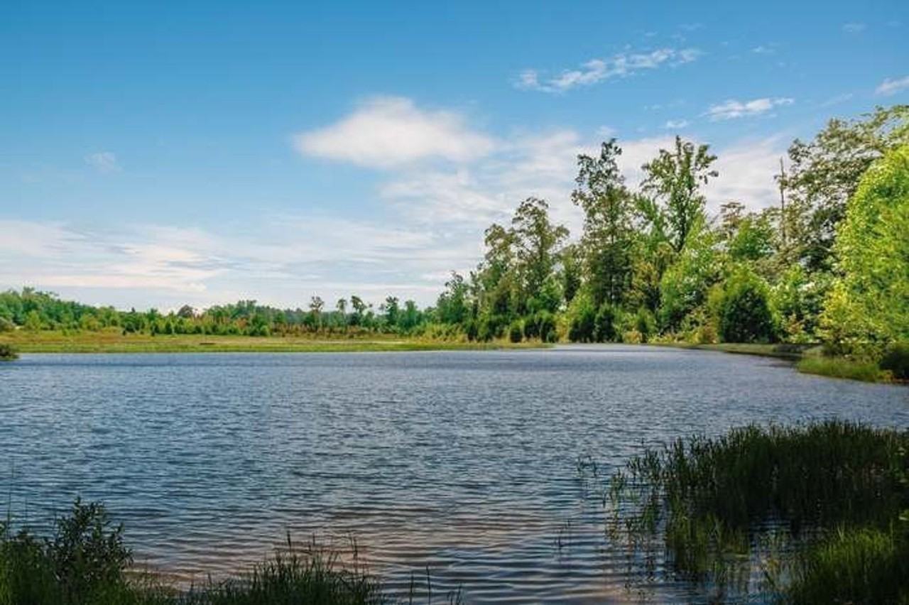 606 Crowder Ct - Photo 6 of 7