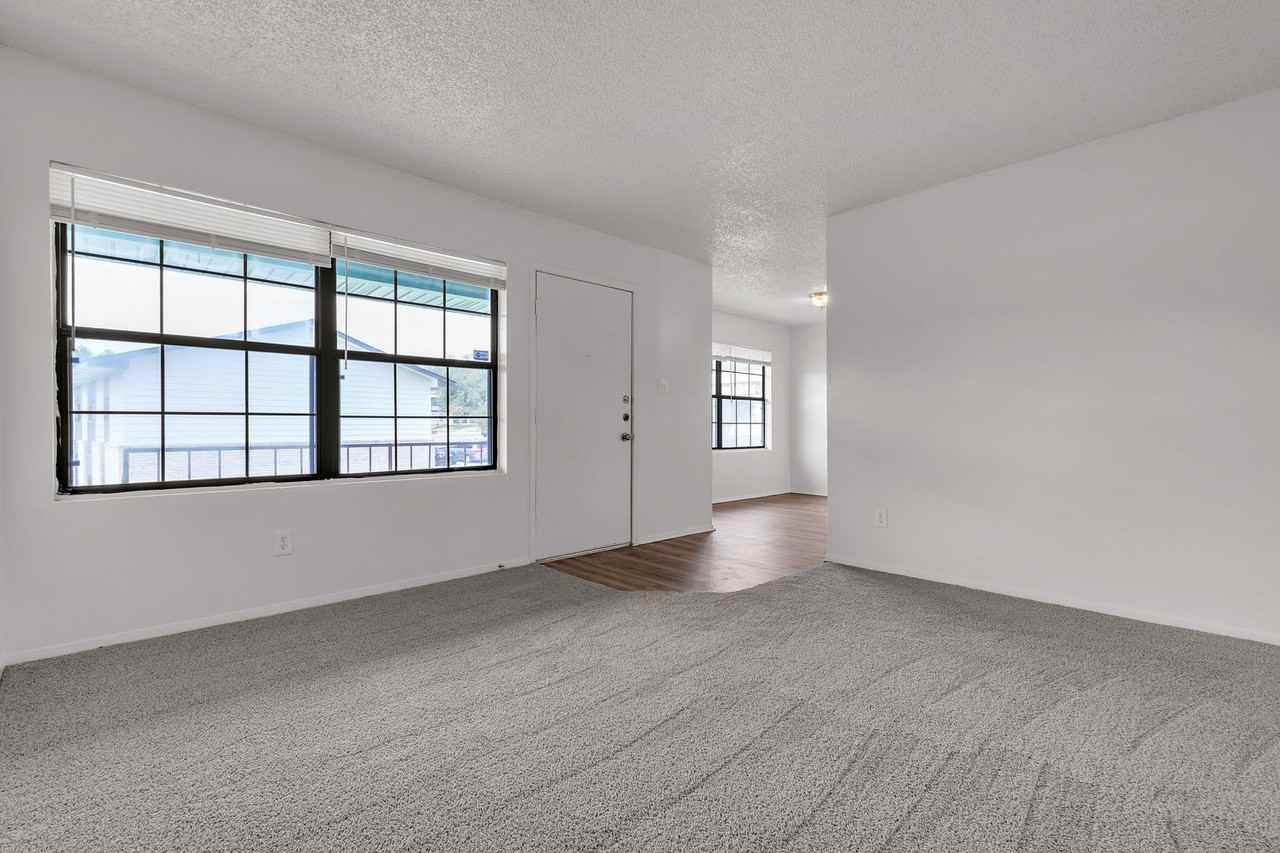 106 Lady Bird Ln - Photo 3 of 12