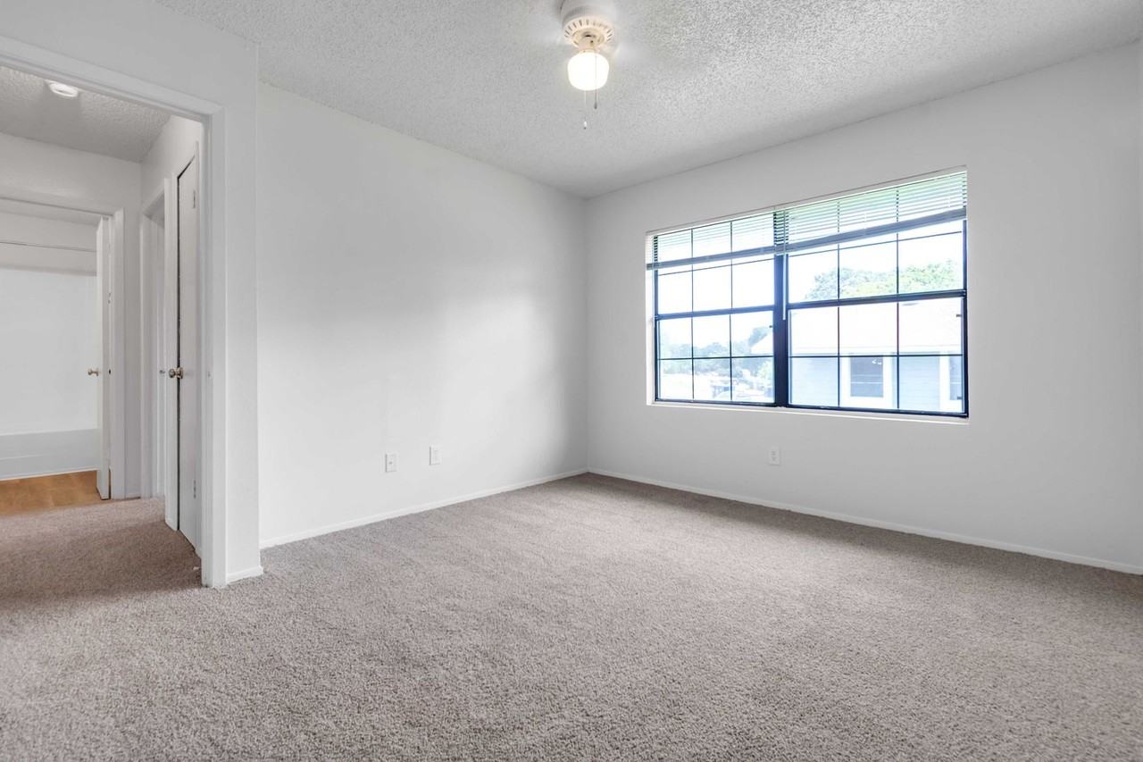 106 Lady Bird Ln - Photo 4 of 12