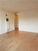 966 Emerald St - Photo 3 of 15