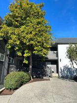 5900 SW Admiral Way - Photo 1 of 1