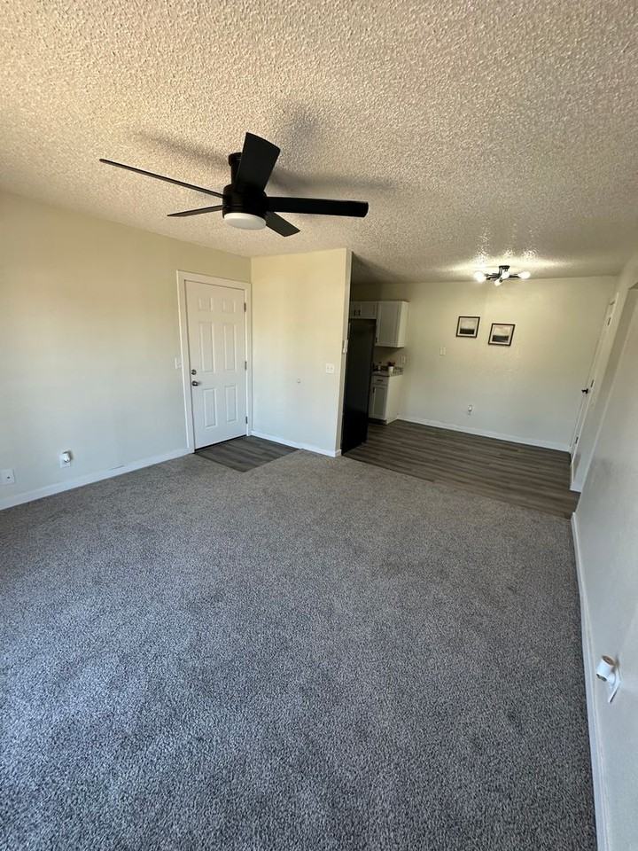 313 S Chickasaw Ave - Photo 6 of 15