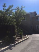 featured image of 238 Berrydale Ave