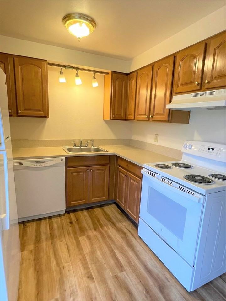 1330 S Ivy St - Photo 4 of 15