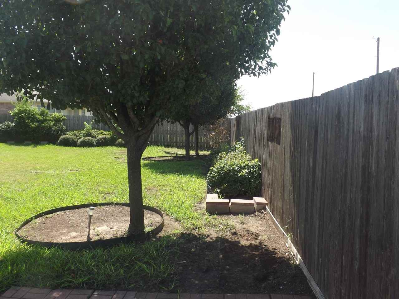 18928 Alnwick Castle Dr - Photo 6 of 12